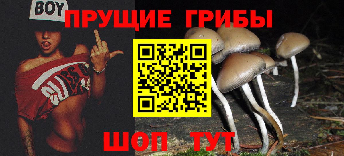 Галлюциногенные грибы GOLDEN TEACHER  Вход с VPN  Елизово  Псилоцибиновые грибы MAGIC MUSHROOMS 